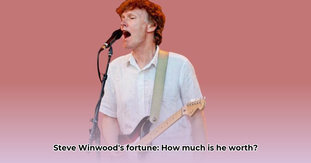 steve-winwood-net-worth